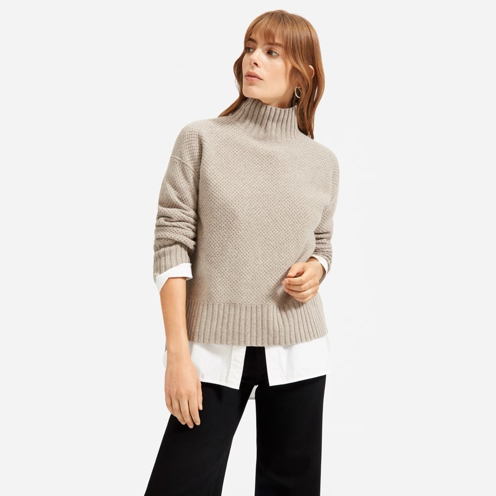 Everlane Stroopwafel Turtleneck in ReCashmere